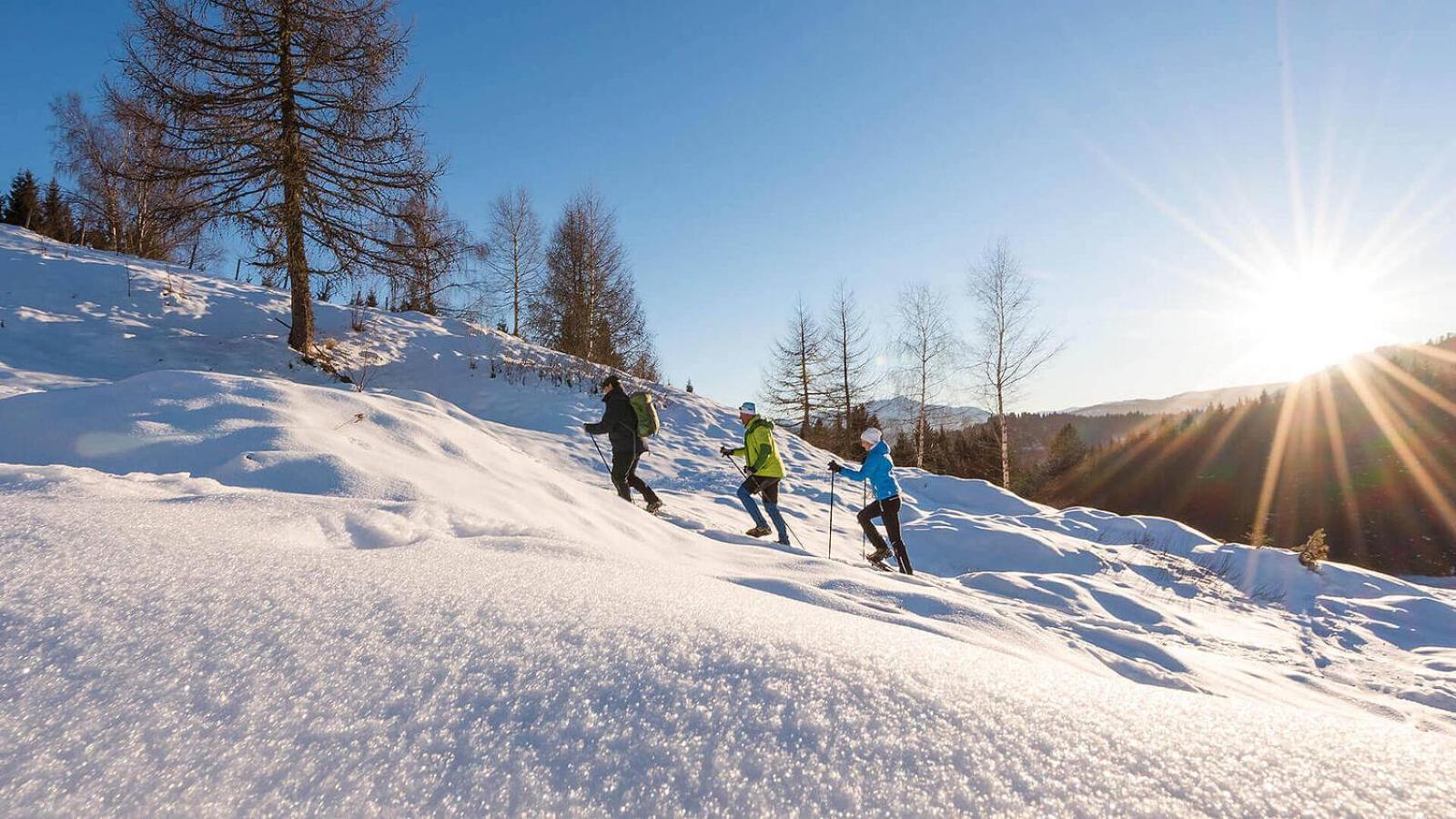 Pension Gasthof Arriach Eksteriør billede